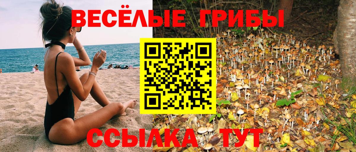 Псилоцибиновые грибы ЛСД  Псилоцибиновые грибы мухоморы  Торжок  Вход с VPN 