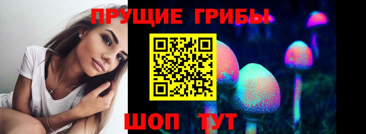 Псилоцибиновые грибы MAGIC MUSHROOMS Торжок